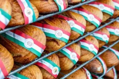 gal-1693477267-67d7e5ec81317