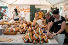 gal-1693477341-67d7e5f0f0455