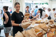 gal-1693477356-67d7e5f45492f