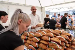 gal-1693477383-67d7e5f8242bf