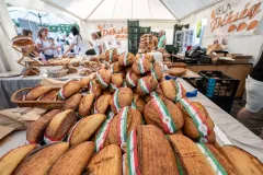 gal-1693477429-67d7e5fd4dc97