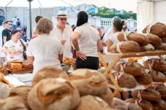 gal-1693477447-67d7e600de253