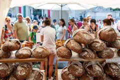 gal-1693477467-67d7e6019b872