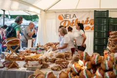 gal-1693477487-67d7e604c34e5