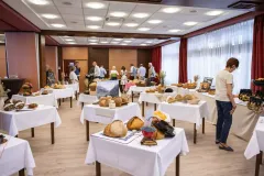 gal-1723206688-67d7e08d58356