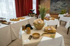 gal-1723206724-67d7e0951ad31