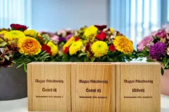 gal-thumb-1731586497-67d3fb2a804db