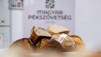2025. 05.14. XIV. Szent István napi kenyérverseny I. forduló Fotók: Princz Mihály