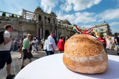 dsc-0041-68a85e559b5ee