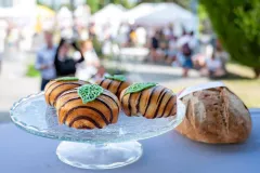 dsc-2424-68a85e658c409