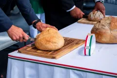 dsc-2516-68a85e7756f77