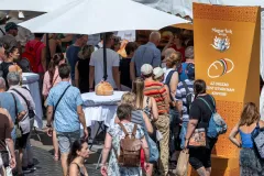 dsc-7968-68a85eb680468