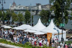 dsc-7976-68a85ebdc07a5