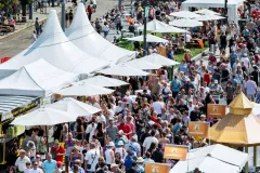 dsc-7993-68a85ebf5dd77