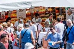 dsc-8010-68a85ec80875c