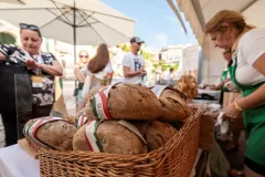 dsc-9664-68a85eda1d1a2