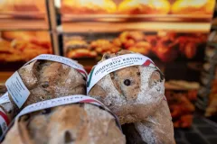 dsc-9688-68a85ee5c94b5