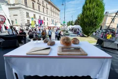 dsc-9738-68a85ef4ebbe6