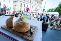 dsc-9783-68a85efde4e78