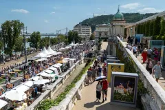 dsc-9976-68a85f059ce5a