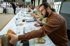 dsc-1302-69d601de8b4ce