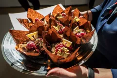 dsc-1306-69d601df32b83