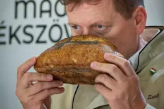 dsc-3736-69d601e3bbf79