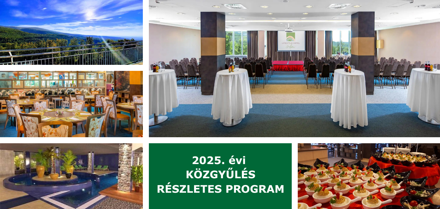 Közgyűlés részletes program
