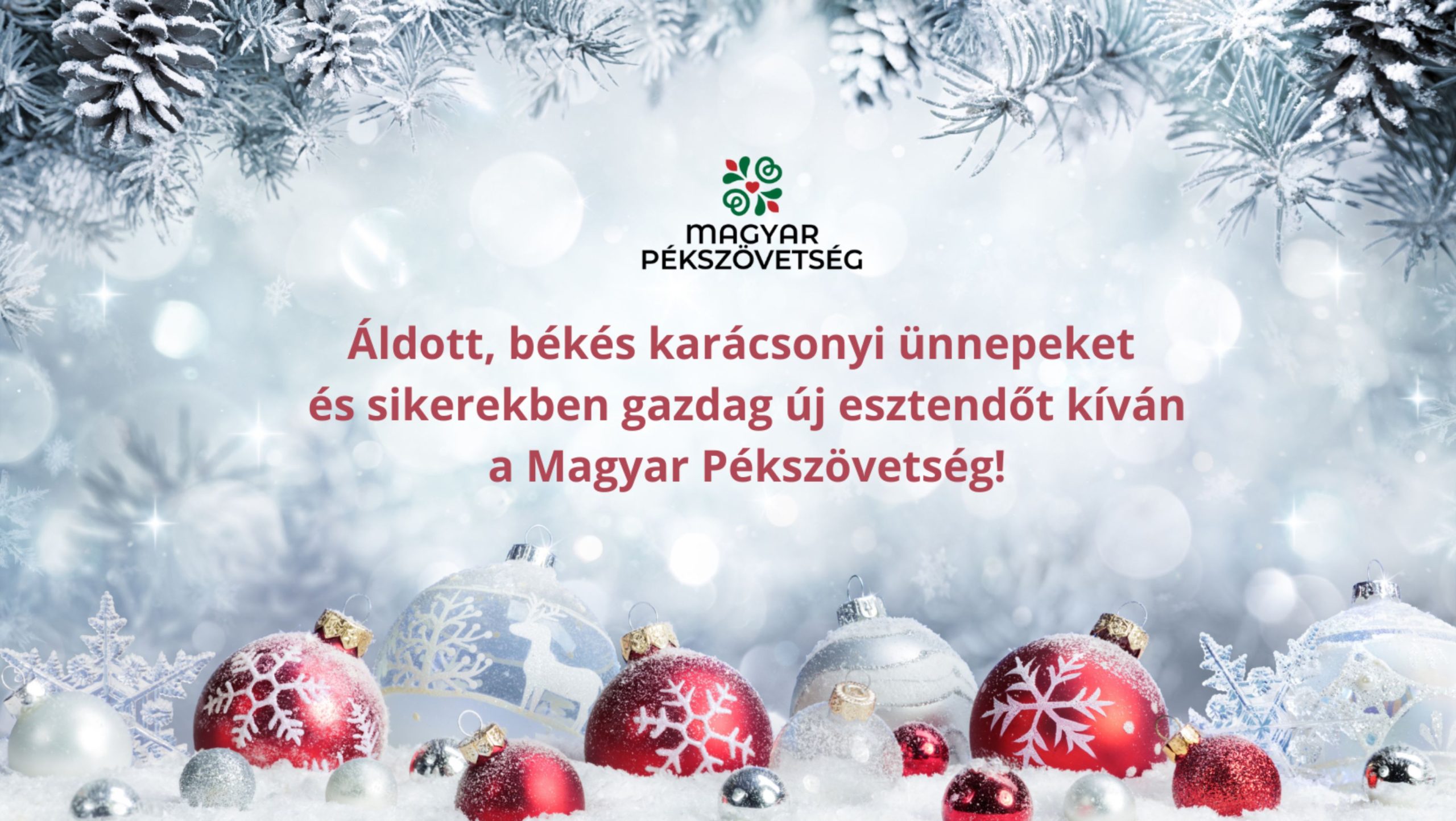 Kar&aacute;csonyi &uuml;dv&ouml;zlő